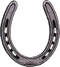 [horseshoe1]